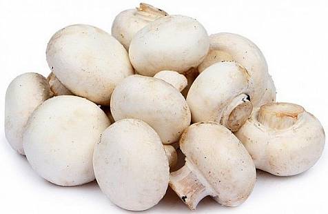 ГРИБЫ ШАМПИНЬОНЫ КГ.